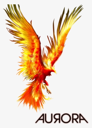 The Phoenix - Phoenix Bird