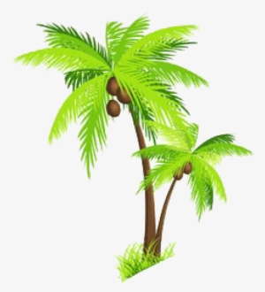 Free Png Palm Tree Png Images Transparent - Coconut Tree Clipart Png