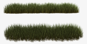 Dry Grass Clipart Desert Plant - Png Grass Clump