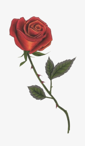 Red Rose - Tattly