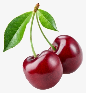 Queen Anne Cherry Fruit