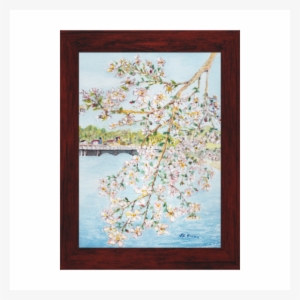 Washington Dc Cherry Blossoms Watercolor Painting Gallery - Watercolor Painting