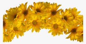 Flower Crown Png Transparent Svg Black And White Download - Yellow Flower Crown Transparent