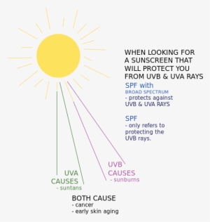 Sun Rays Diagram - Sun