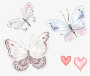 Visit - Transparent Watercolor Butterfly Png