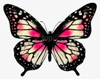 Large Pink Butterfly Png Clip Art Image - Pink Butterfly