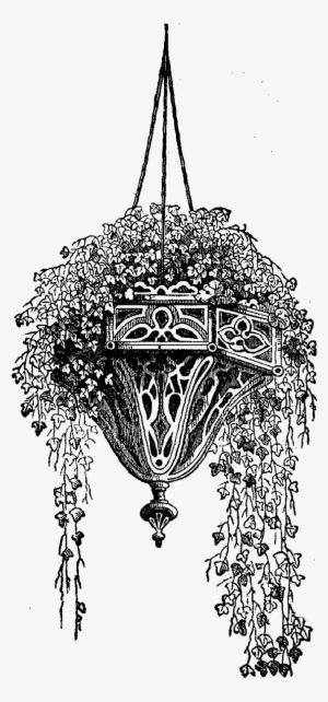 Hanging Flower Basket Drawing