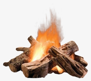 Hargrove Wilderness Split Outdoor Gas Firepit Logs