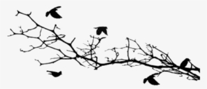 Bird Silhouettes On A Branch - Bird