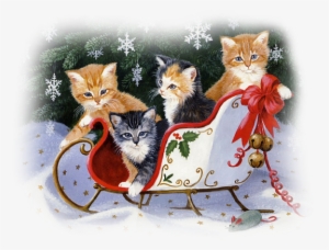 Sleigh Full Of Kittens Persisclaytonweirs Jg - Christmas Day