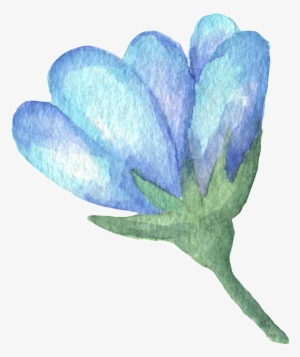 Hand Painted Blue Flower Watercolor Transparent - Red Clover