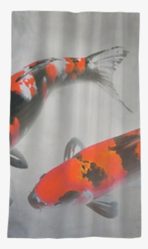 Calico Koi Fish Watercolor Illustration Sheer Window - Pez Koi Rojo Real