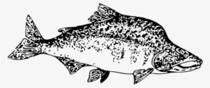 Fishing Line Png - Vintage Fishing Logo Transparent PNG - 500x425 - Free  Download on NicePNG