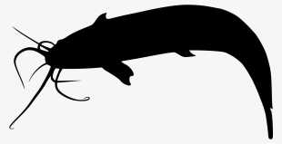 Fish Vector Catfish - Walking Catfish Cartoon