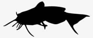 Fish Silhouette Vector - Motte Silhouette