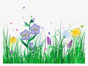 Collection Of Free Flower Transparent Background - Flowers Clip Art Transparent