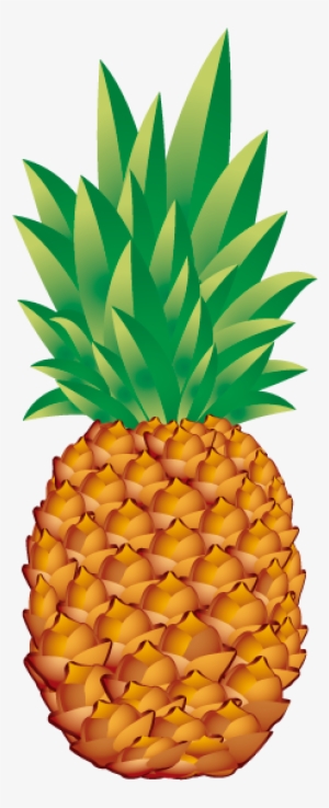 Piña Png - Pineapple Vector