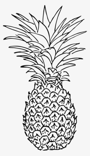 Im Genes De Pi As Para Colorear Decorar Y Cuadros Chulos - Pineapple Drawing