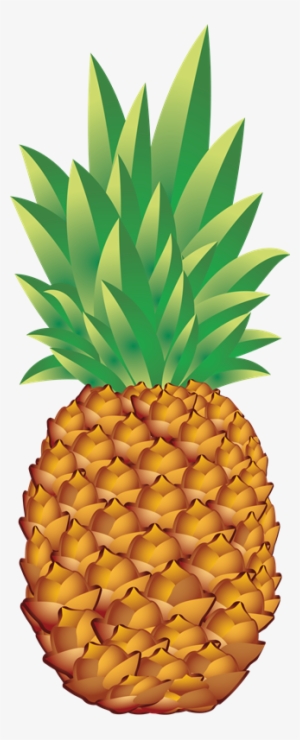 Imágenes De Piñas - Pineapple Png