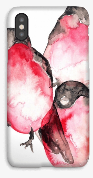 Bullfinch Case Iphone X - Watercolor Paint