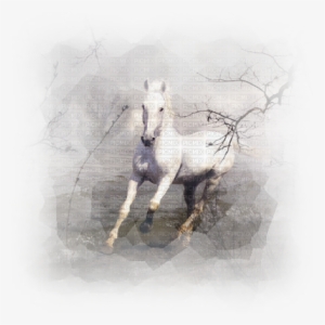 Horse In Winter - Heartland