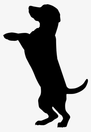 Boxer Dobermann Cat Pet Sitting Silhouette - Transparent Background Dog Silhouette Png