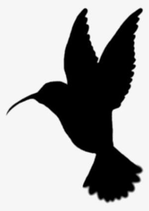 Hummingbird Transparent Png - Hummingbird Silhouette Clip Art