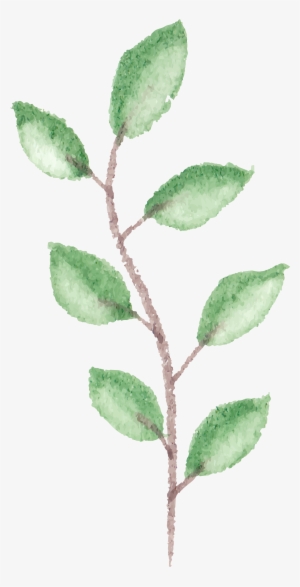 Twig Drawing Watercolour - Floral Twig Watercolor