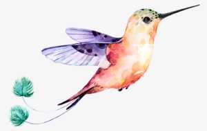 Final Design - Paint Hummingbirds Wings Watercolor