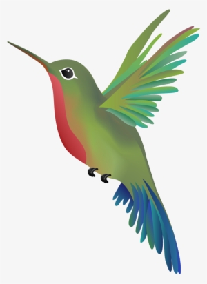 World Champion Massage Issaquah Wandering Hummingbird - Google Hummingbird