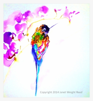 "violet Perch" Hummingbird Print By Janet Weight Reed - Iphone 6