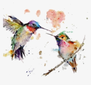 Acuarela - Hummingbird Watercolor