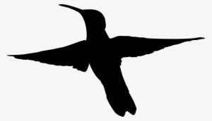 Medium Image - Hummingbird Silhouette Png