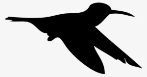 Silhouette Hummingbird - All About Birds