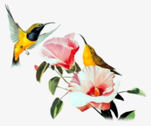 Hummers-flws - Drawing