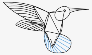How To Draw A Hummingbird - Hummingbird Drawing