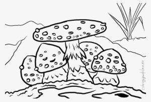 Toadstool - Illustration