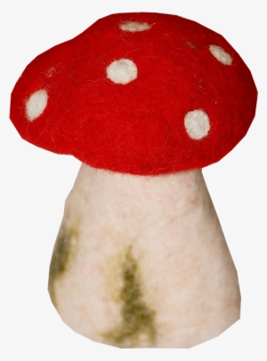 Toadstool Pictures - Medicinal Mushroom