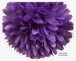Violet - Pom-pom - Magik 10pc Tissue Paper Pom Poms Flower Balls Wedding