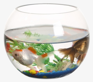 Ranfeng Small Fish Tank Transparent Round Fish Tank
