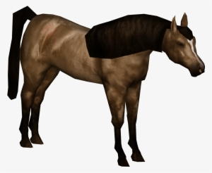 Arabian Horse 01 - Sorrel