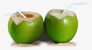 Whole Coconut Png - Fresh Buko Png