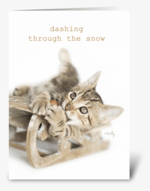 dashing through the snow christmas kitty greeting card - holiday