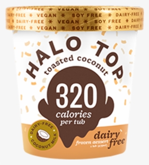 Dairy Free Toasted Coconut - Halo Top Salted Caramel