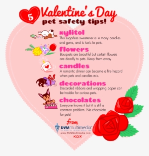 Dvm-valentine - Valentines Day Pet Safety