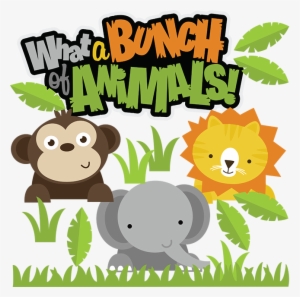 What A Bunch Of Animals Svg - Colher Animais Do Zoo (12uni) - Papel Confeito
