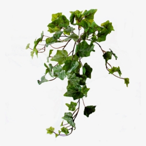 Flowerdutchess Ivy Light Frosted Green 45 Cm - Centimetre
