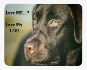Love My Chocolate Lab Best Mousepad For Labrador Lovers - Dog