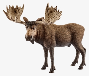 Schleich 14781 Moose Bull, , Large - Schleich Moose