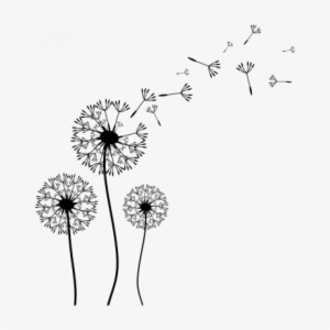 Dandelion Flower Clipart - Diente De Leon Vinilo